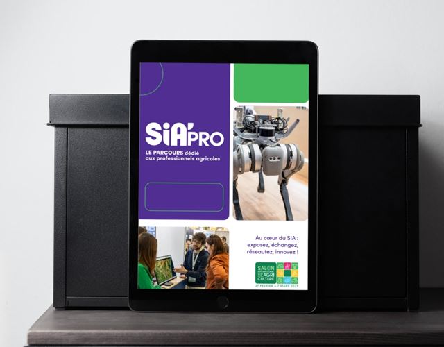 Encart pub dans le Guide du Visiteur Pro